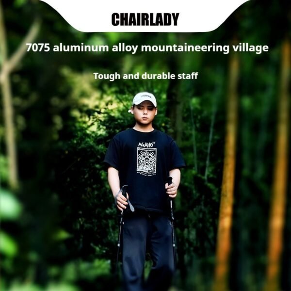 Full view of 7075 aluminum trekking poles, showing telescopic adjustment & tungsten carbide tip