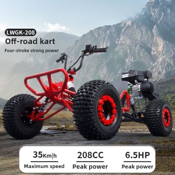 Gas go kart