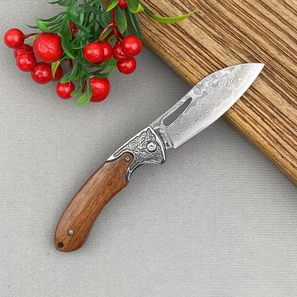 folding pocket knife