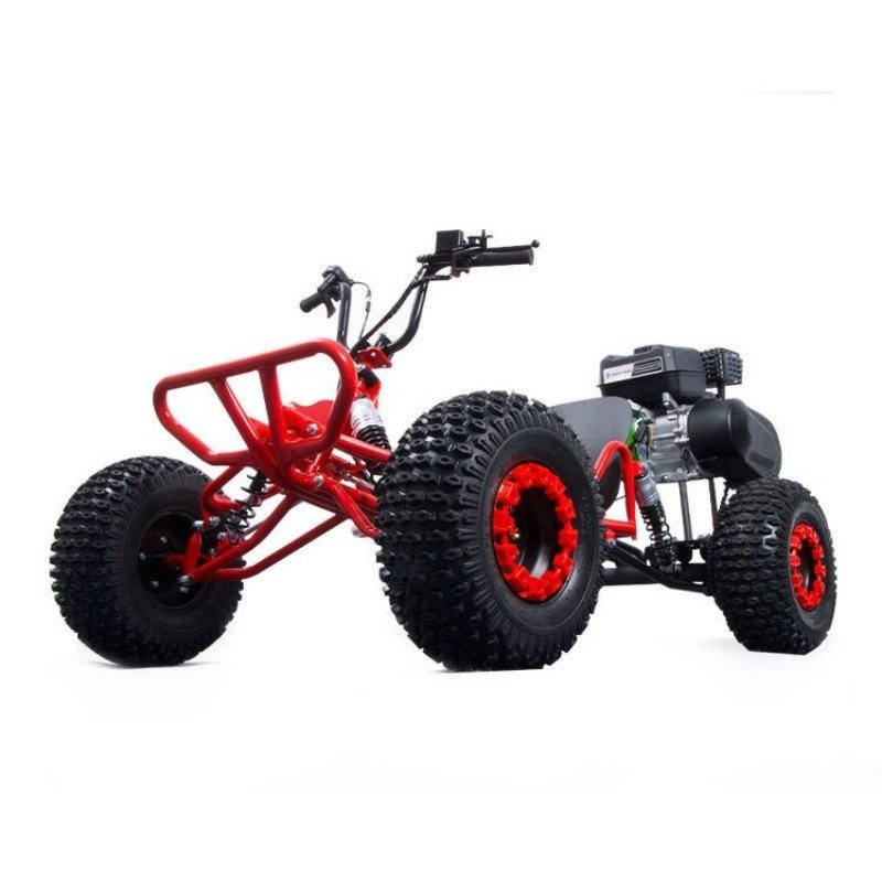 208CC Gas Go Kart - 8" Off-Road Tires, Aluminum Alloy Wheels, Dual Shock Absorbers, 100kg Capacity - Image 2
