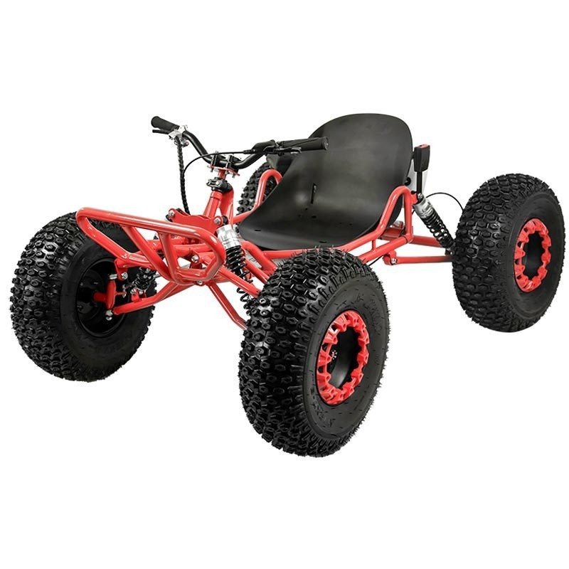adult go kart